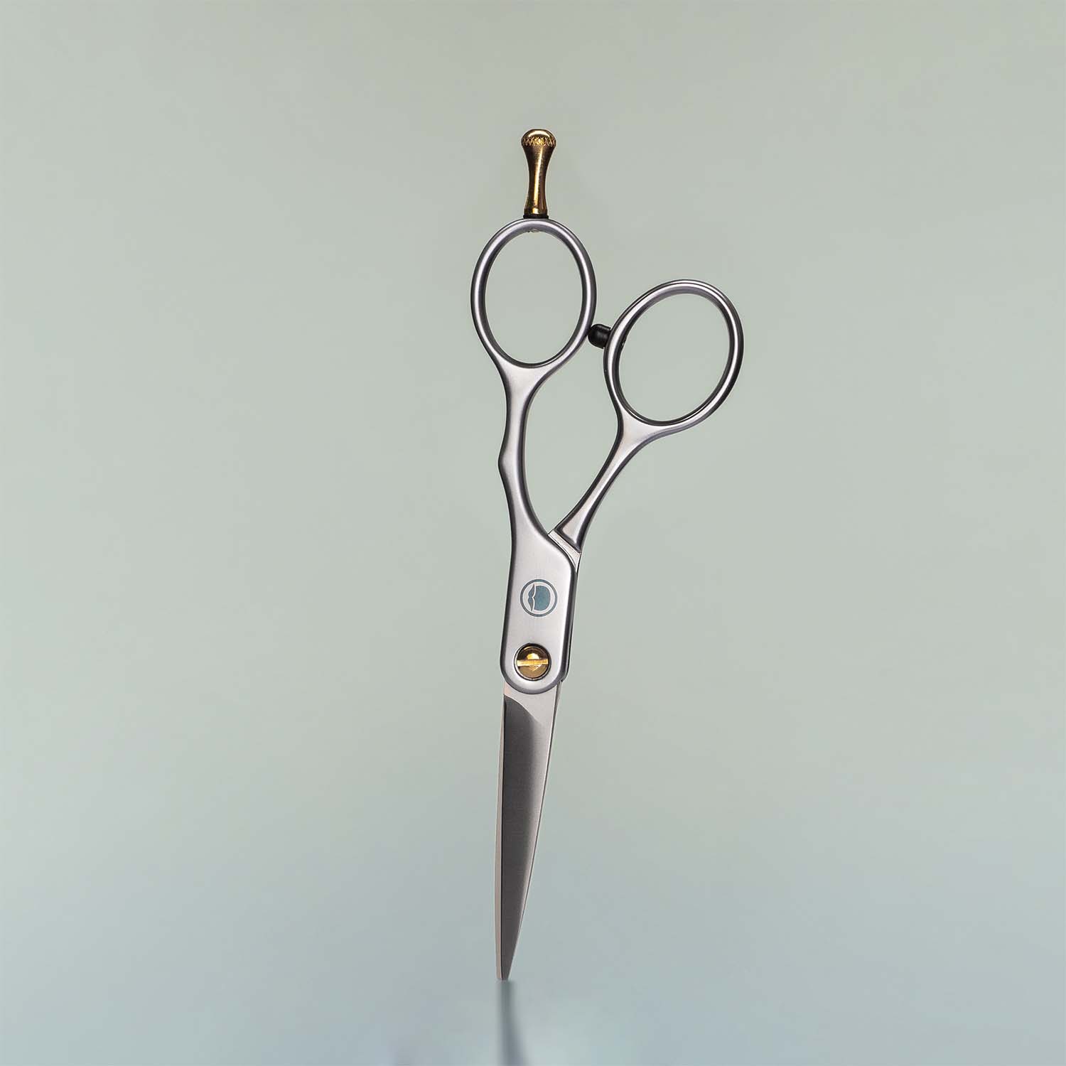 Trimming Scissors